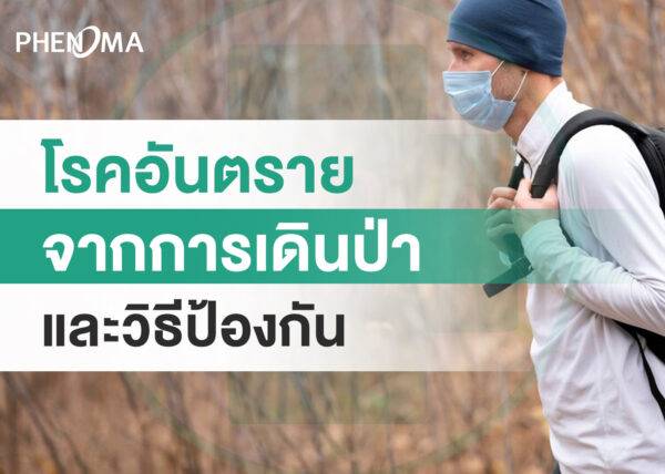อันตรายจากการเดินป่า